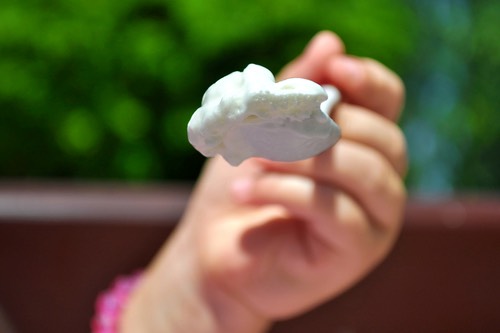 Spoonful of Coffee Can Ice Cream