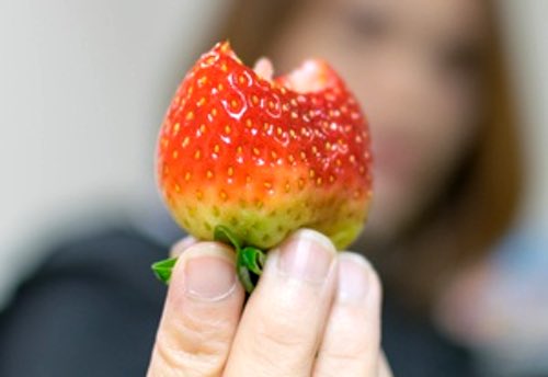 Fresh Strawberry