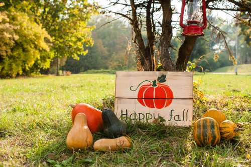 Happy Fall with Squash and Pumpkin Pies