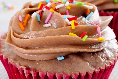 Cupcake Decorated with Chocolate Icing and Sprinkles