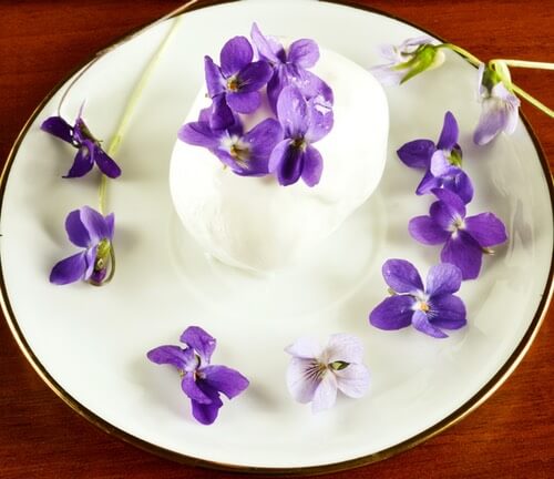 Serving of Ice Cream Decorated with Violets