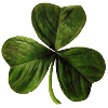 Green Shamrock