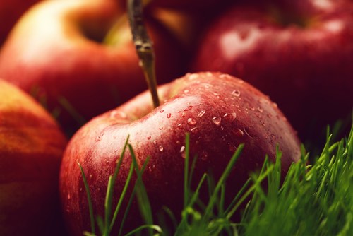 Ripe Apples Ready for Baking