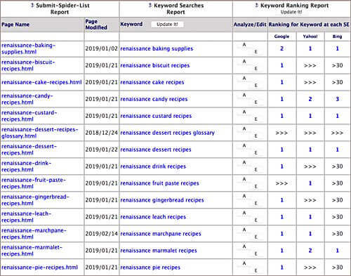 SBI Keyword Ranking Report