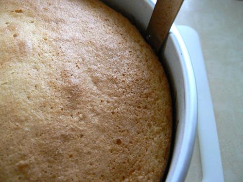 Separating the Cake from the Pan