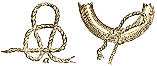 Illustration of the Single Half-Hitch Knot