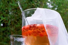 Raspberry Shrub Beverage