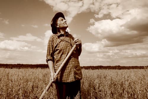 Elderly Farmer Gazing at the Sky Checking the Weather