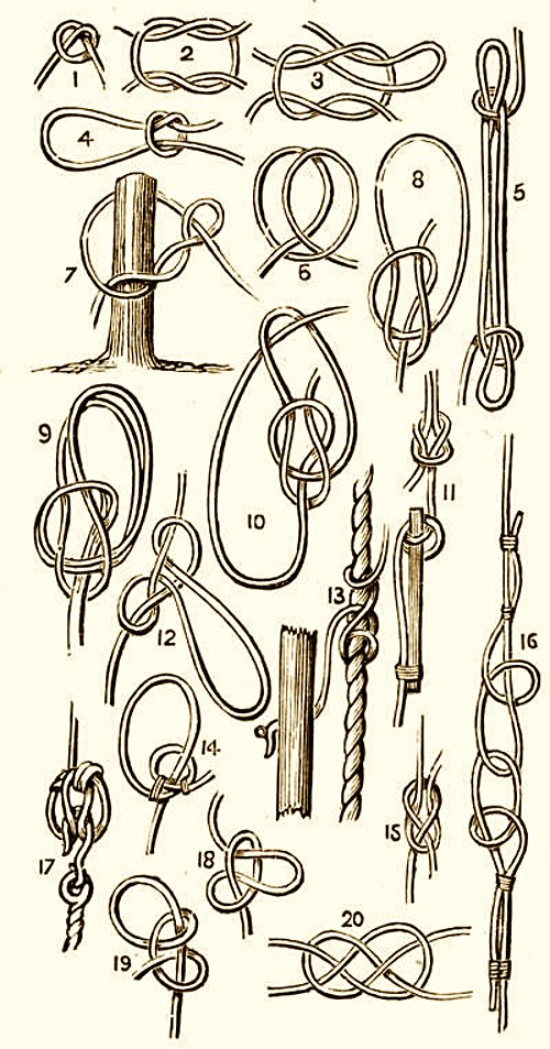 Illustrations of Twenty Useful Knots