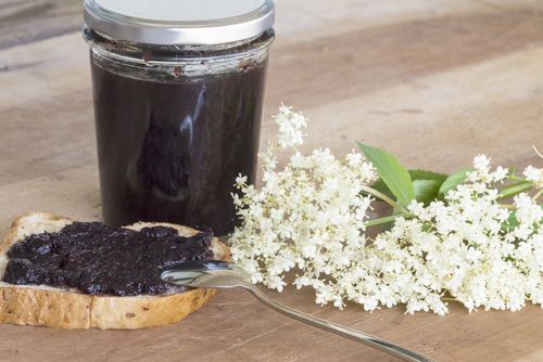 Get Mom's old fashioned elderberry pie recipe and make a delicious homemade fruit pie. Also get her instructions on how to preserve elderberries for jams.