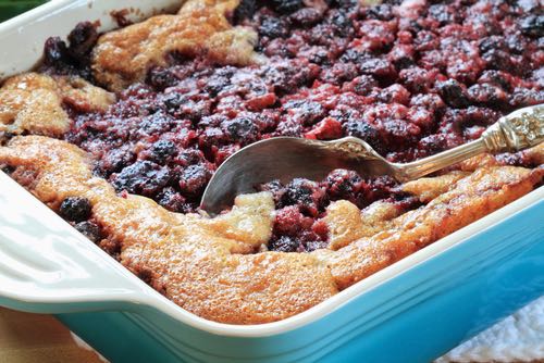 Get Grandma's old fashioned fruit pudding recipes. Make delicious puddings featuring the fresh flavors of blueberry,  peach, raisins, figs, strawberry, and more.