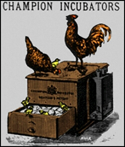 Vintage Poster Illustrating an Old Time Egg Incubator